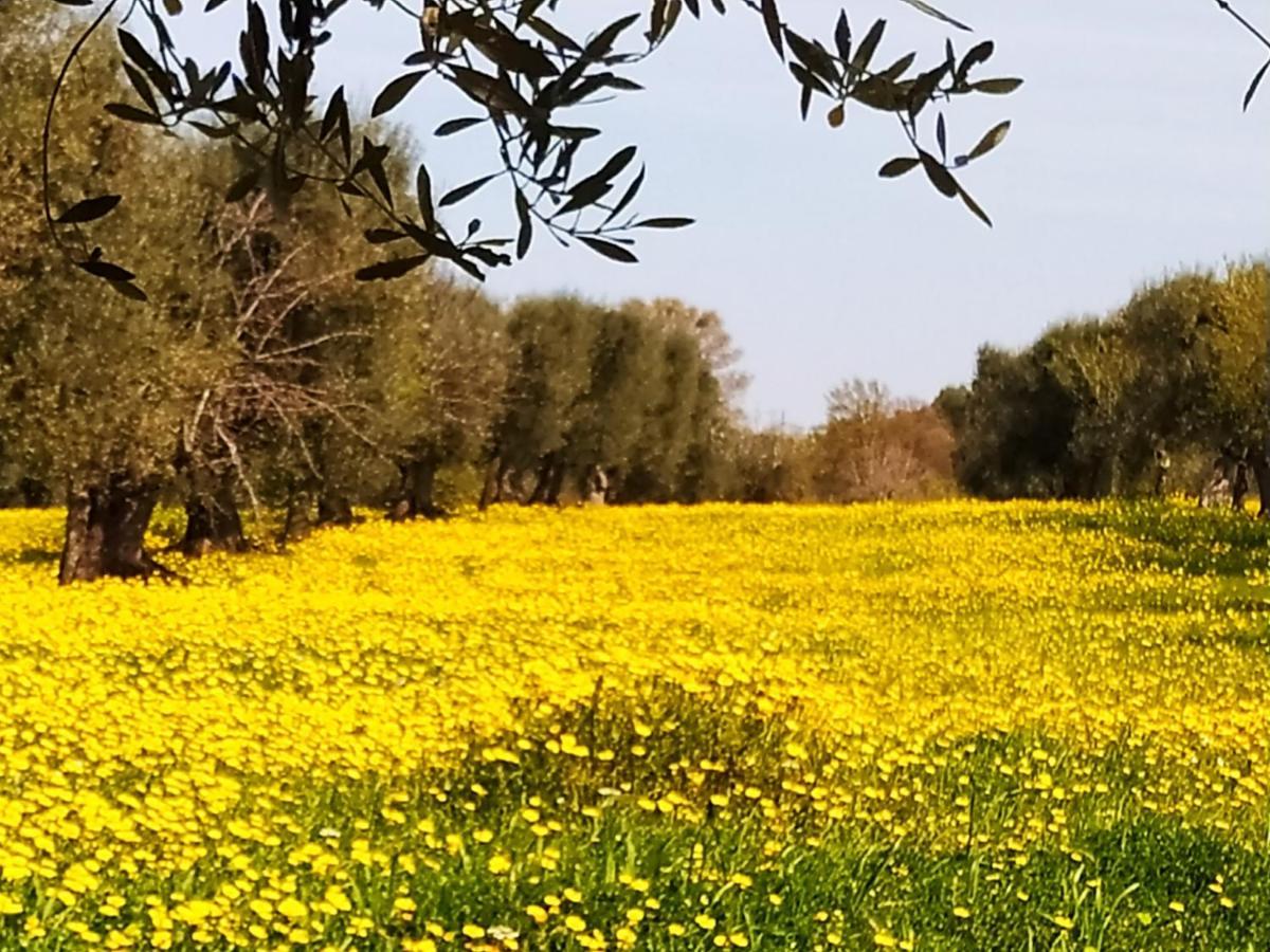 Masseria - Trulli Genius Loci Dimore Monopoli Buitenkant foto
